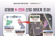 강원형 케이(K)-연어 산업 생태계 조성…총 8,500억 투자