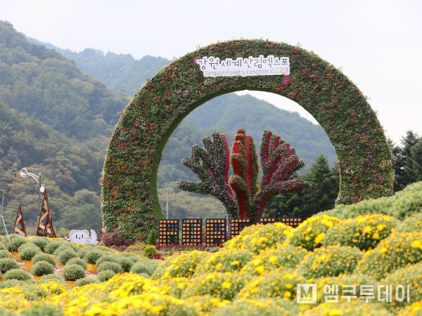 ‘인제에서 꽃길만 걷자’ 수십만송이 가을꽃의 향연, 인제 가을꽃축제 내일 개막