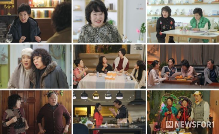 가족 코미디 영하 '고장난 가족'