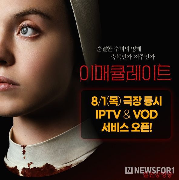 이매큘레이트