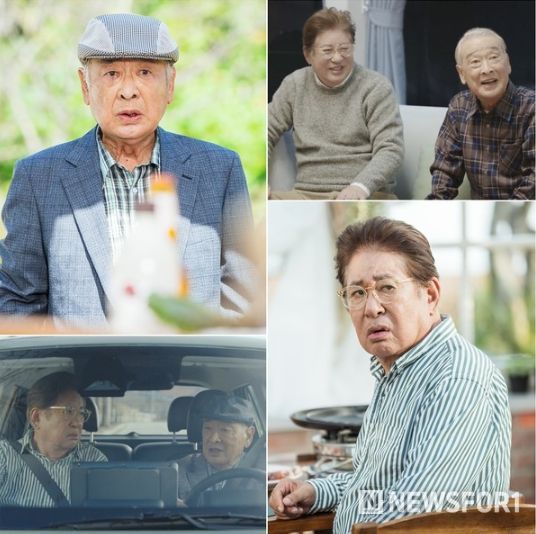 사진 제공: 아이엠티브이