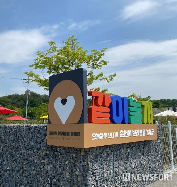 “내년 봄에 또 만나요”…춘천시 반려견 놀이터 12월부터 휴장