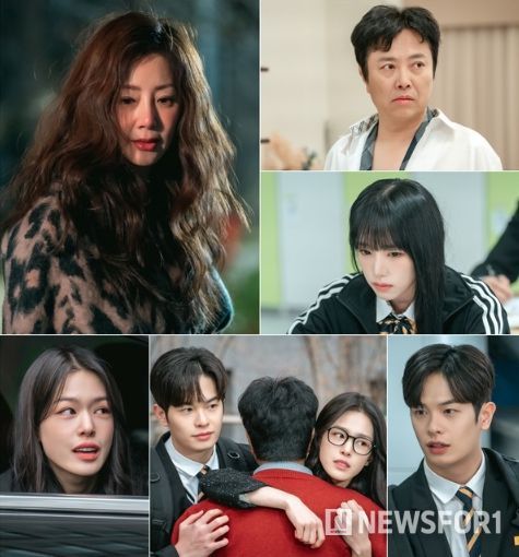 사진 제공 : 스튜디오 플럼