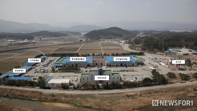 강릉 농산물 도매시장