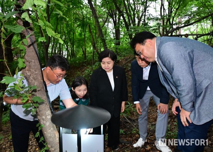 최호정 의장, 러브버그 빛으로 잡는 친환경 포집 현장 점검