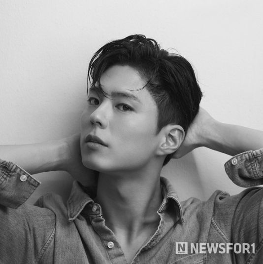 박보검