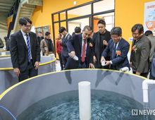 연어 산업의 메카 강원, "아시아 최대 연어 산업 키운다"